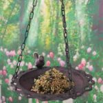 Hanging Bird Bath Wild Birds Feeder 2